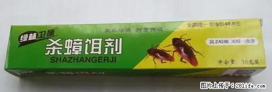 【紧急提醒】如果有“防疫站工作人员”上门灭杀蟑螂，请立刻报警 - 灌水专区 - 金昌生活社区 - 金昌28生活网 jinchang.28life.net