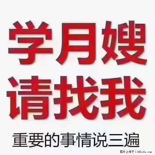 为什么要学习月嫂，育婴师？ - 新手上路 - 金昌生活社区 - 金昌28生活网 jinchang.28life.net