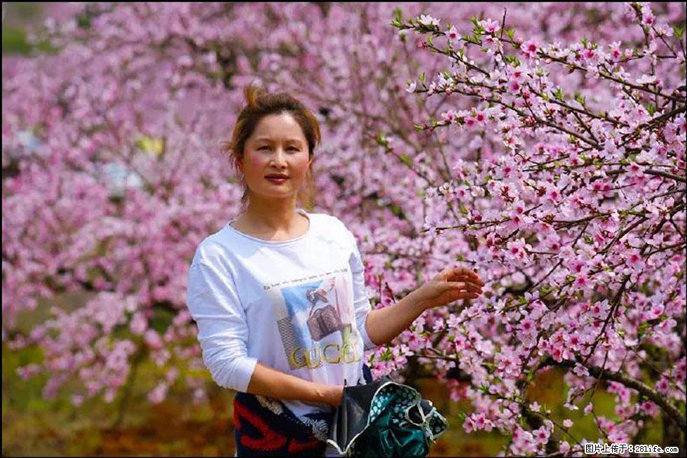 【春天，广西桂林灌阳县向您发出邀请！】官庄村有个醉美的桃花园 - 游山玩水 - 金昌生活社区 - 金昌28生活网 jinchang.28life.net