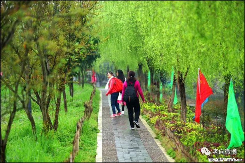 【春天，广西桂林灌阳县向您发出邀请！】江口老街又逢春 - 游山玩水 - 金昌生活社区 - 金昌28生活网 jinchang.28life.net