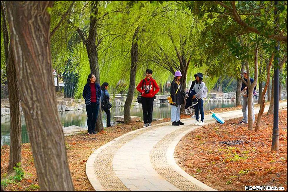 【春天，广西桂林灌阳县向您发出邀请！】江口老街又逢春 - 游山玩水 - 金昌生活社区 - 金昌28生活网 jinchang.28life.net