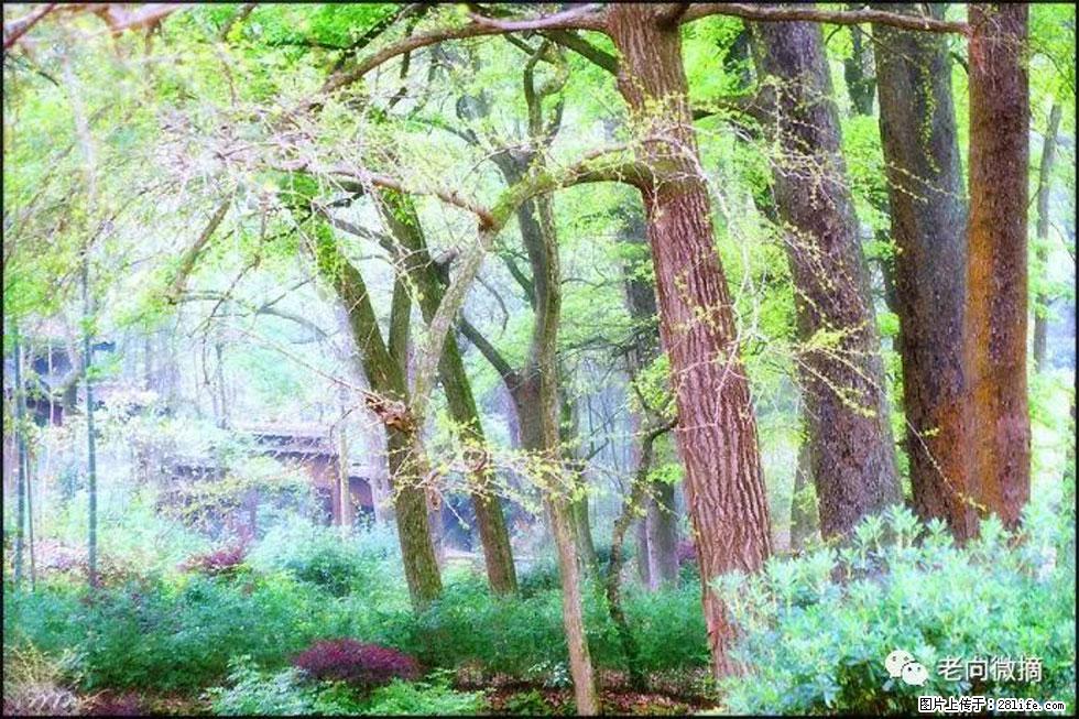 【春天，广西桂林灌阳县向您发出邀请！】在小龙村与春天约会 - 游山玩水 - 金昌生活社区 - 金昌28生活网 jinchang.28life.net