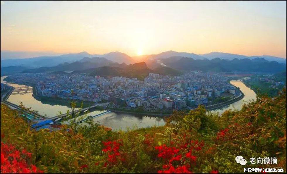 【春天，广西桂林灌阳县向您发出邀请！】登麒麟山，相约映山红 - 游山玩水 - 金昌生活社区 - 金昌28生活网 jinchang.28life.net