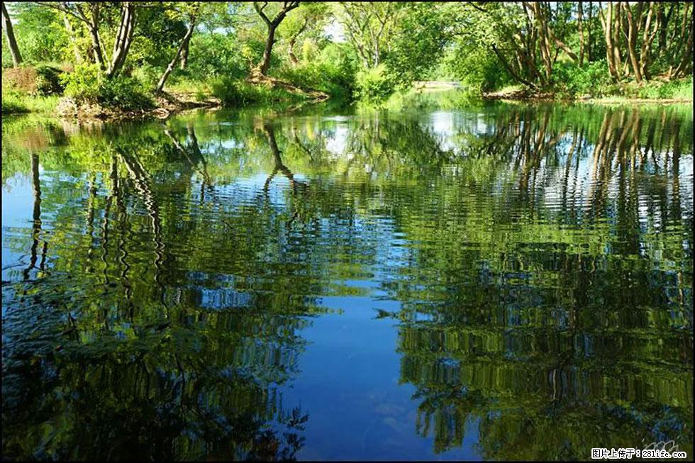 【春天，广西桂林灌阳县向您发出邀请！】熊家寨湿地公园 - 游山玩水 - 金昌生活社区 - 金昌28生活网 jinchang.28life.net