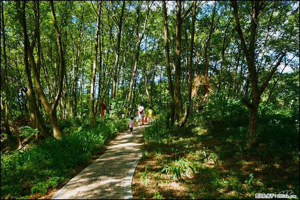 【春天，广西桂林灌阳县向您发出邀请！】熊家寨湿地公园 - 游山玩水 - 金昌生活社区 - 金昌28生活网 jinchang.28life.net