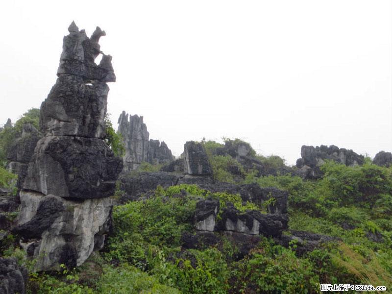 桂林旅游名城景点：灌阳文市石林 - 游山玩水 - 金昌生活社区 - 金昌28生活网 jinchang.28life.net
