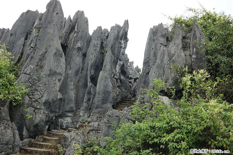 桂林旅游名城景点：灌阳文市石林 - 游山玩水 - 金昌生活社区 - 金昌28生活网 jinchang.28life.net