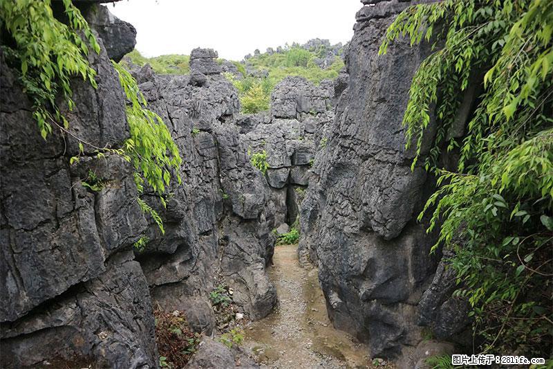 桂林旅游名城景点：灌阳文市石林 - 游山玩水 - 金昌生活社区 - 金昌28生活网 jinchang.28life.net