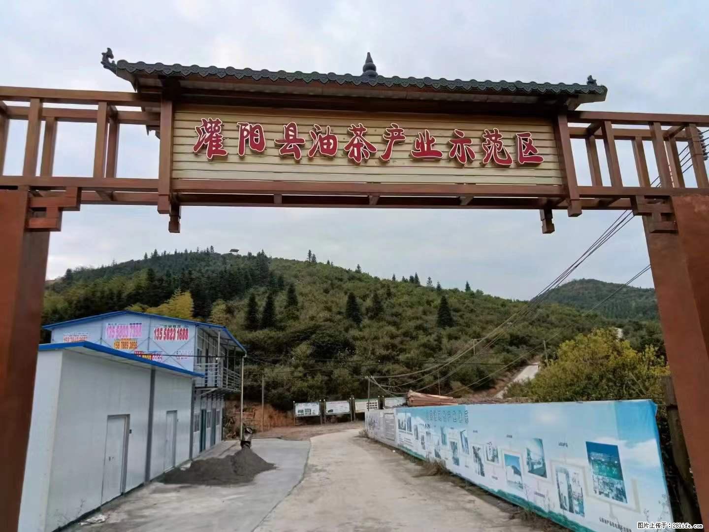 【灌阳县油茶产业示范区】一个有着充实的精神生活的人，对待身外之物自会有一种淡泊的态度 - 美食天地 - 金昌生活社区 - 金昌28生活网 jinchang.28life.net