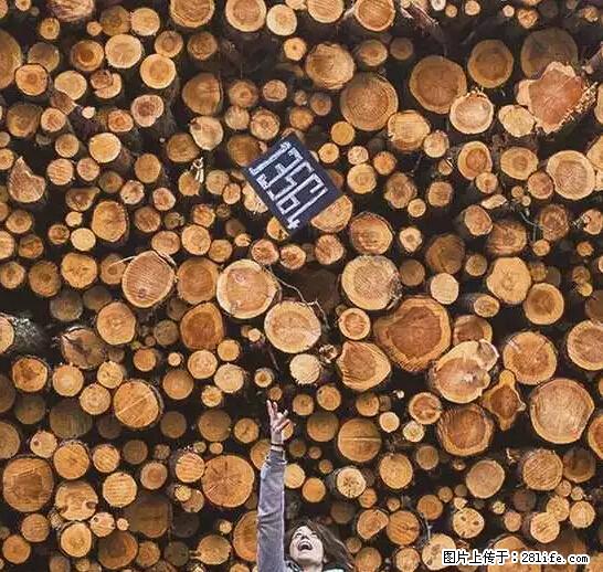 辞掉工作周游世界？现在他们在洗厕所…… - 游山玩水 - 金昌生活社区 - 金昌28生活网 jinchang.28life.net