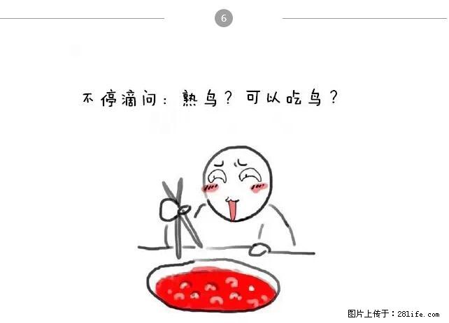 千万不要和这9种哈卵一起吃火锅！ - 美食天地 - 金昌生活社区 - 金昌28生活网 jinchang.28life.net