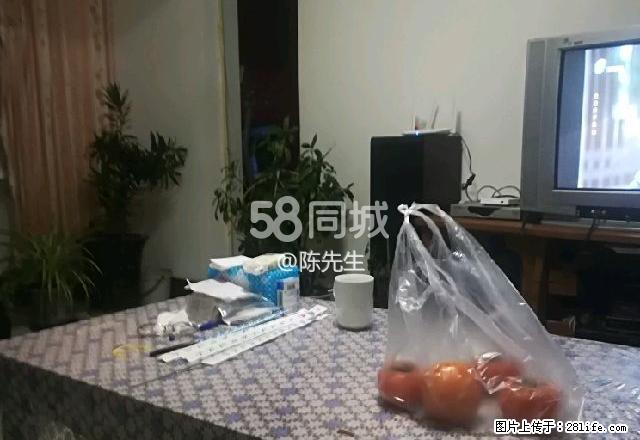 河西南苑 2室2厅1卫 - 房屋出租 - 房屋租售 - 金昌分类信息 - 金昌28生活网 jinchang.28life.net