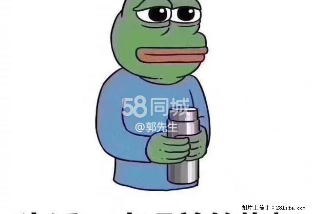 金川公司六中 1室1厅1卫 - 房屋出租 - 房屋租售 - 金昌分类信息 - 金昌28生活网 jinchang.28life.net