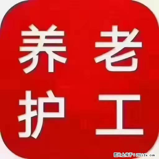 上海国企养老院，星级酒店环境，招聘养老护工 - 职场交流 - 金昌生活社区 - 金昌28生活网 jinchang.28life.net