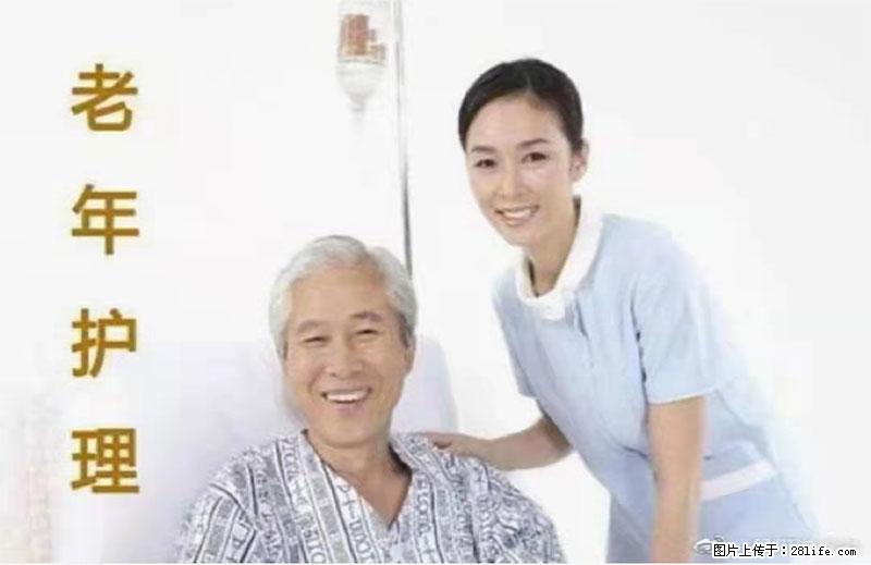 上海国企养老院，星级酒店环境，招聘养老护工 - 职场交流 - 金昌生活社区 - 金昌28生活网 jinchang.28life.net