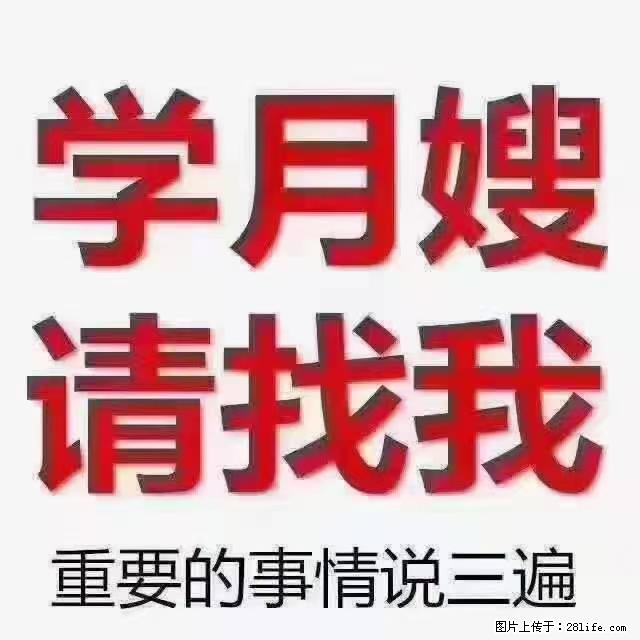 【招聘】月嫂，上海徐汇区 - 职场交流 - 金昌生活社区 - 金昌28生活网 jinchang.28life.net