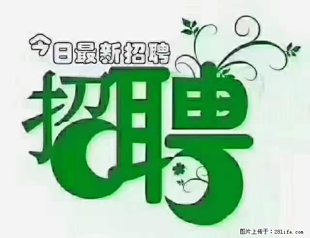 上海隔离酒店招人：55岁以下 男女不限 - 职场交流 - 金昌生活社区 - 金昌28生活网 jinchang.28life.net