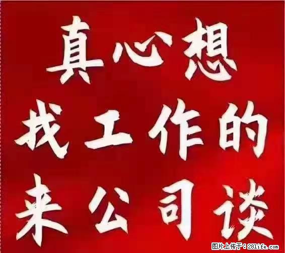 【上海】国企，医院招两名男保安，55岁以下，身高1.7米以上，无犯罪记录不良嗜好 - 职场交流 - 金昌生活社区 - 金昌28生活网 jinchang.28life.net
