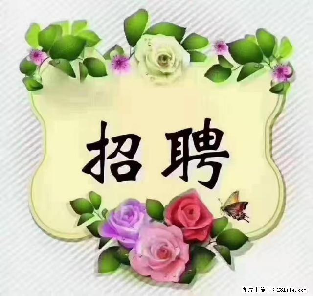 【招聘】住家育儿嫂，上户日期：4月4日，工作地址：上海 黄浦区 - 职场交流 - 金昌生活社区 - 金昌28生活网 jinchang.28life.net