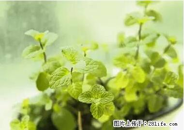 晕车、脚气、牙齿变黄、皮肤粗糙？学会这些三分钟搞定！ - 金昌生活资讯 - 金昌28生活网 jinchang.28life.net