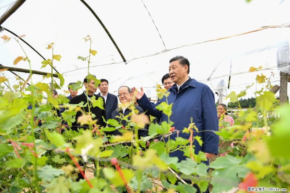 习近平赴广西考察调研 - 金昌生活资讯 - 金昌28生活网 jinchang.28life.net