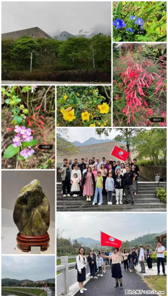 “粤灌文化 美好生活”油茶文化主题活动在广东深圳成功举办 - 金昌生活资讯 - 金昌28生活网 jinchang.28life.net