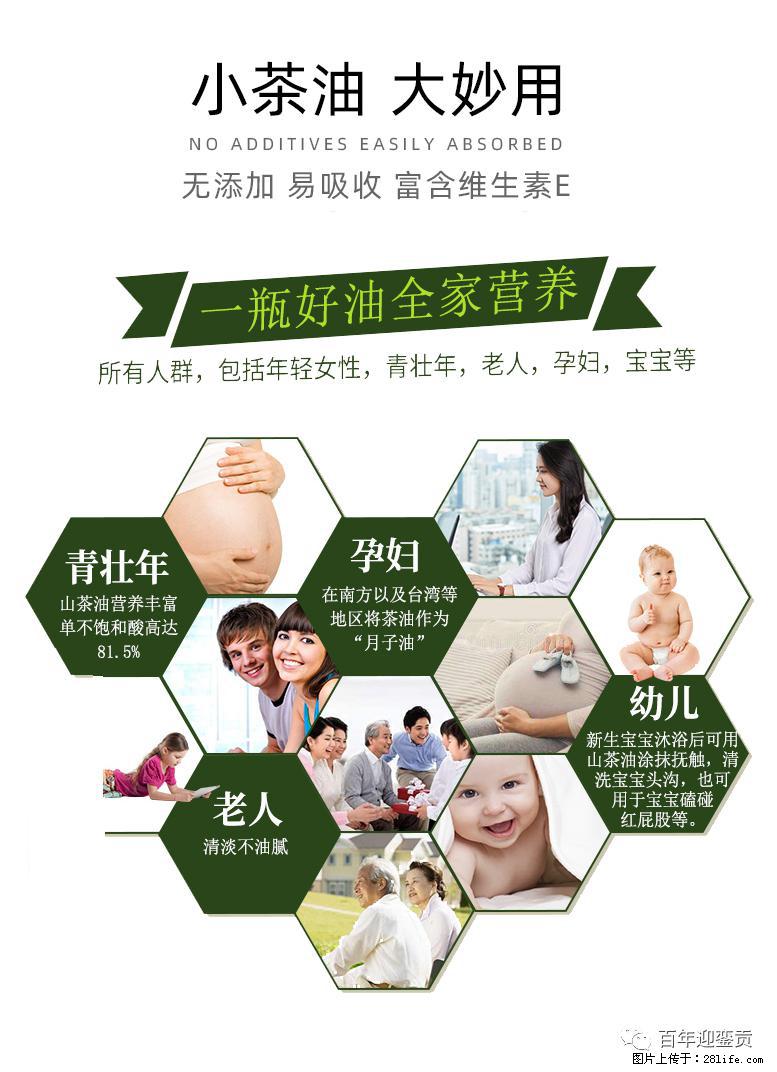世界没有真相，只有认知，最好的食用油是中国的山茶油！ - 金昌生活资讯 - 金昌28生活网 jinchang.28life.net