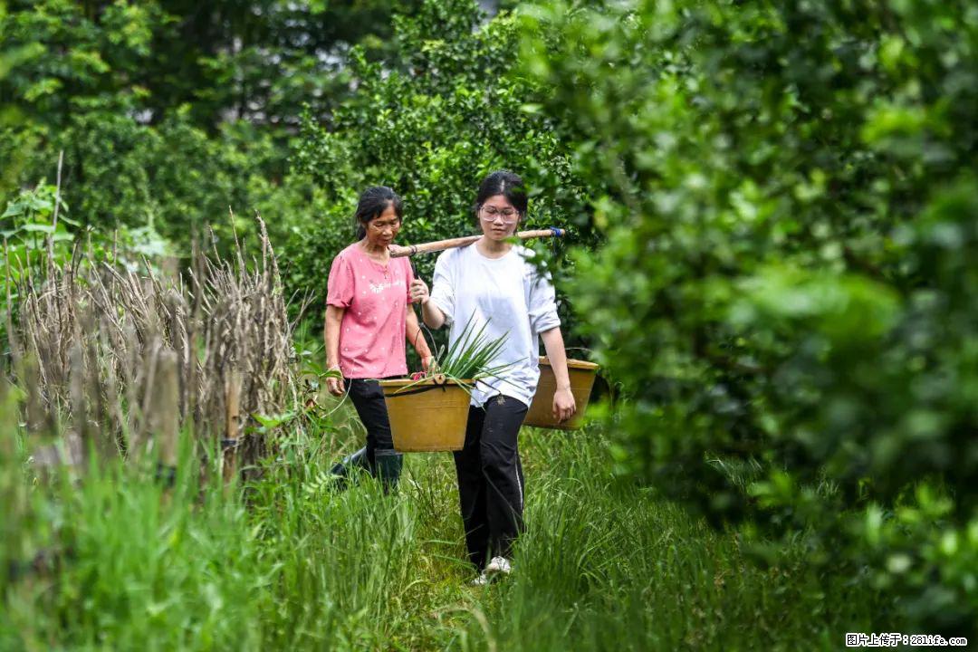 全网追的“扁担女孩”，找了一份暑假工，时薪12元 - 金昌生活资讯 - 金昌28生活网 jinchang.28life.net