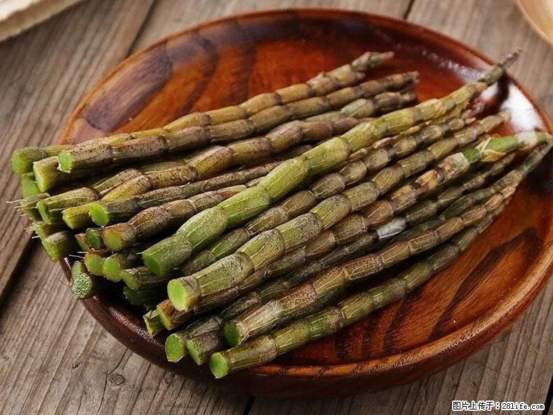 铁皮石斛的作用与功能主治 - 金昌生活资讯 - 金昌28生活网 jinchang.28life.net