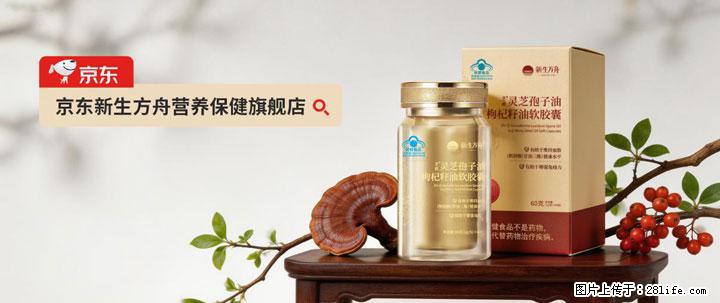 灵芝孢子粉含量越高越有效？2026 年七款热门品牌深度实测，肠胃敏感者避坑指南 - 金昌生活资讯 - 金昌28生活网 jinchang.28life.net